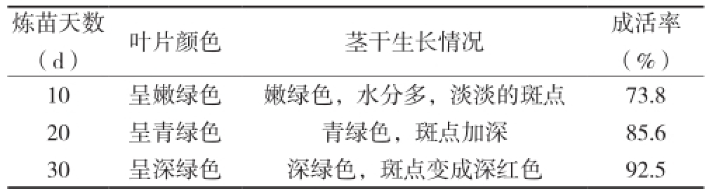 組培室設(shè)計(jì)
